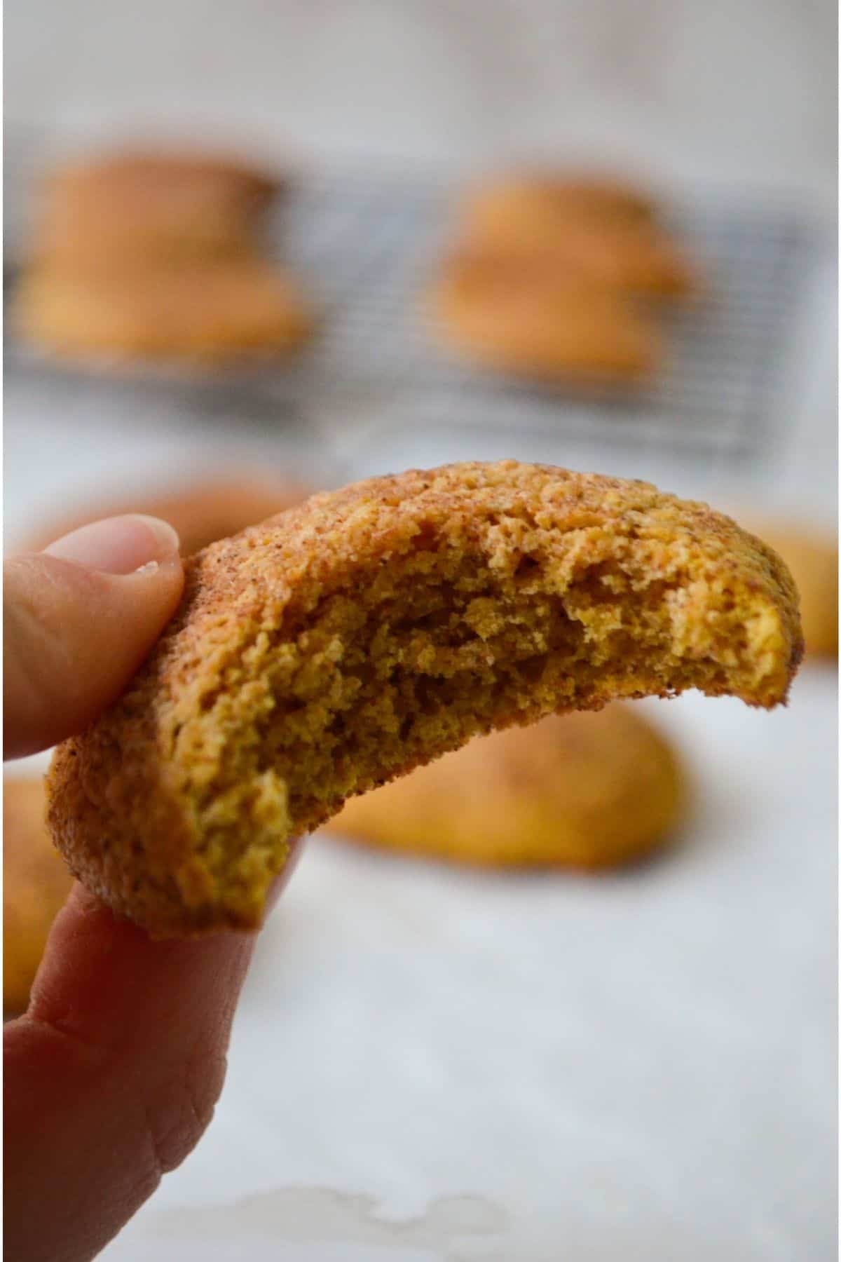 holding a pumpkin snickerdoodle with a bite taken out of it