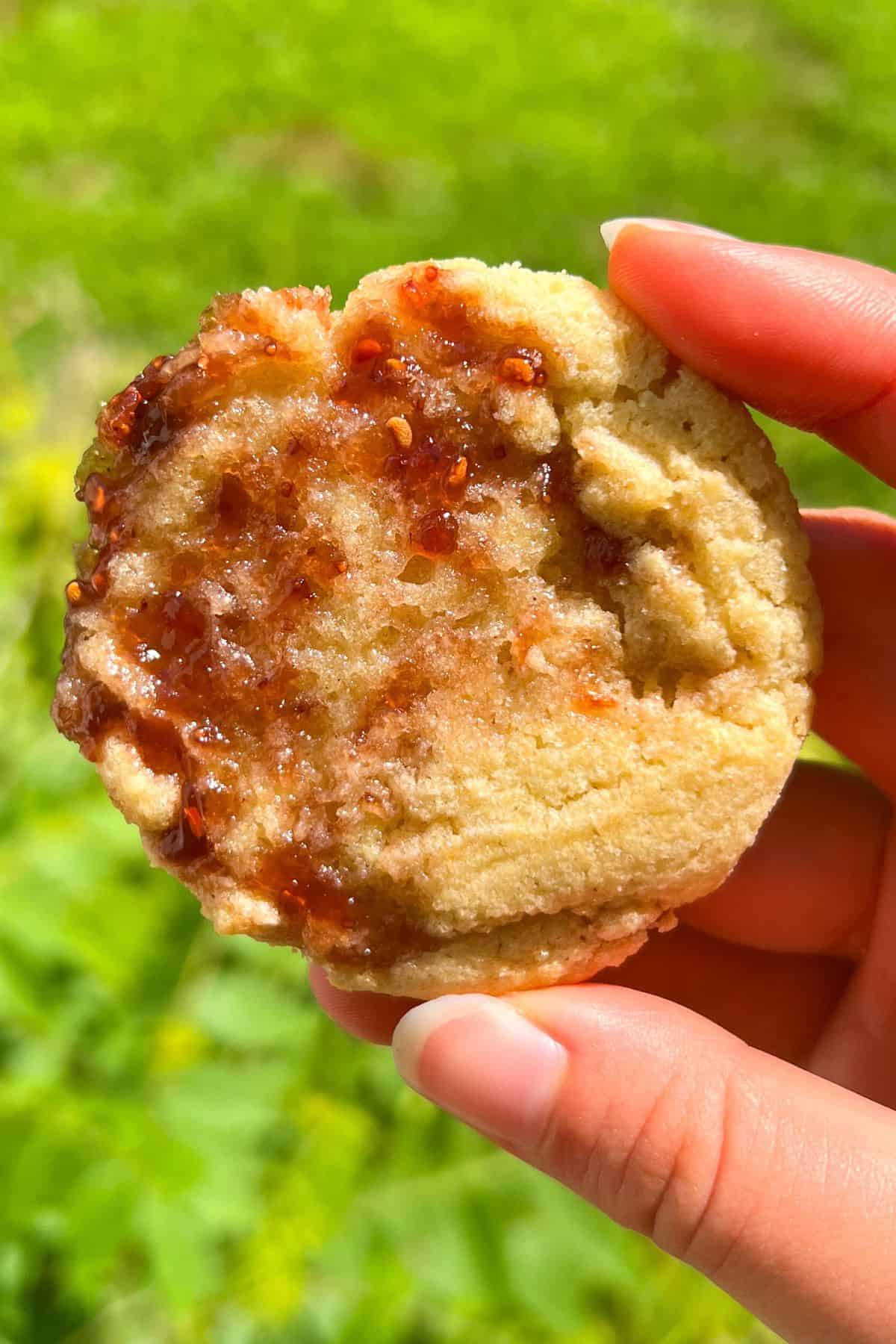 Holding a Strawberry Jam Cookie in my hand.