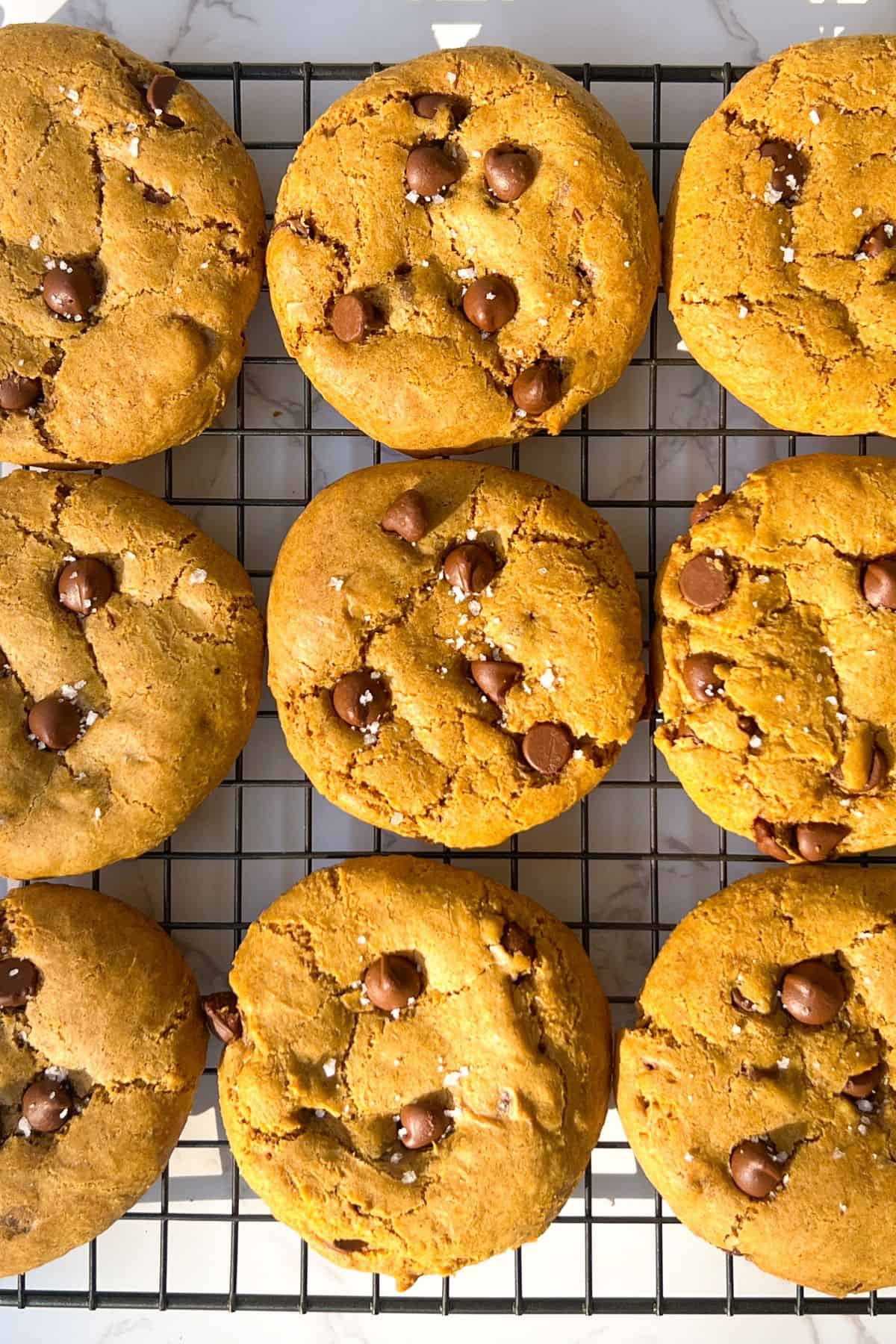 gluten-free pumpkin chocolate chip cookies cooling on a rack