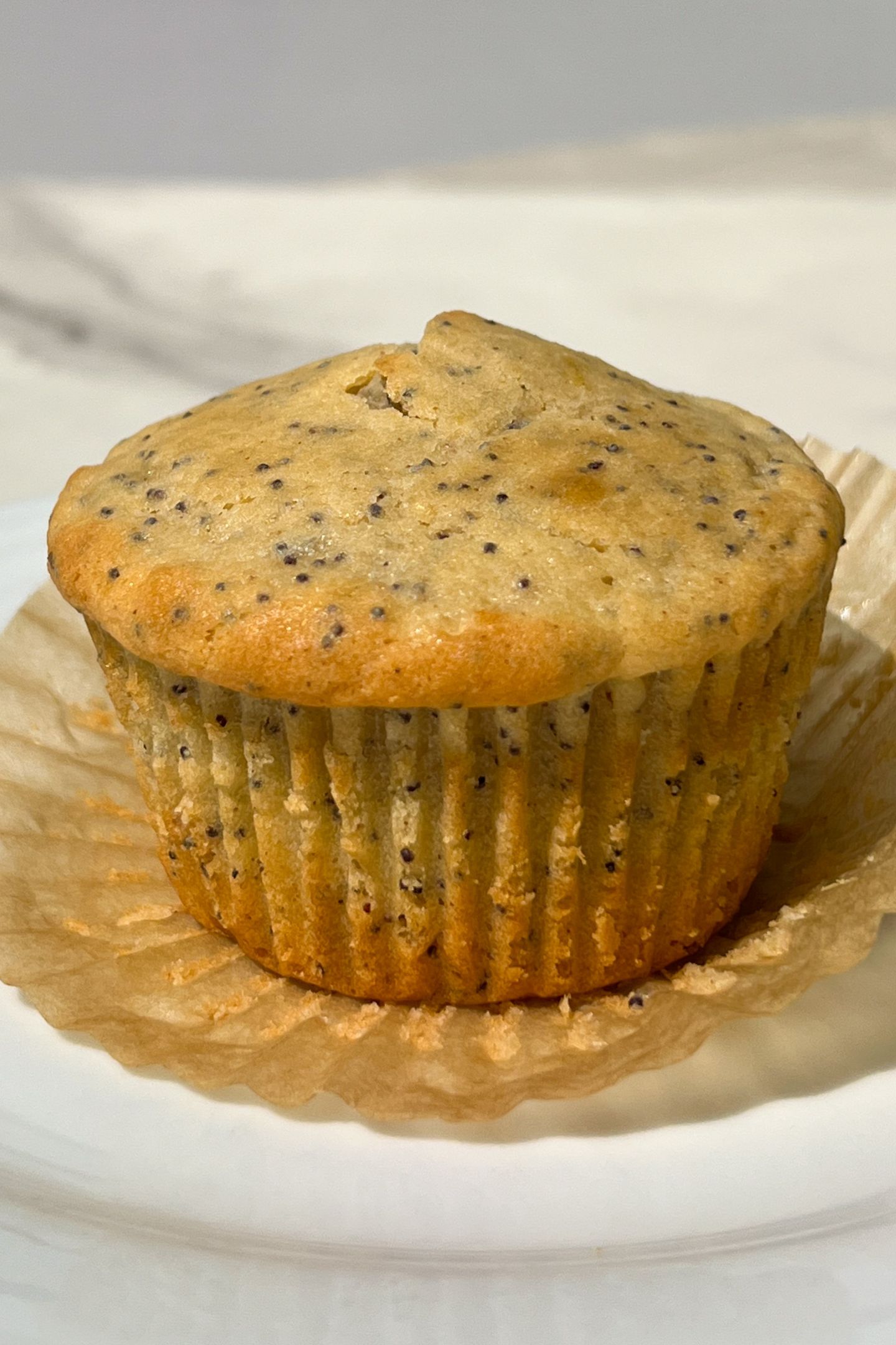 Lemon Poppy Seed Muffin on a plate.