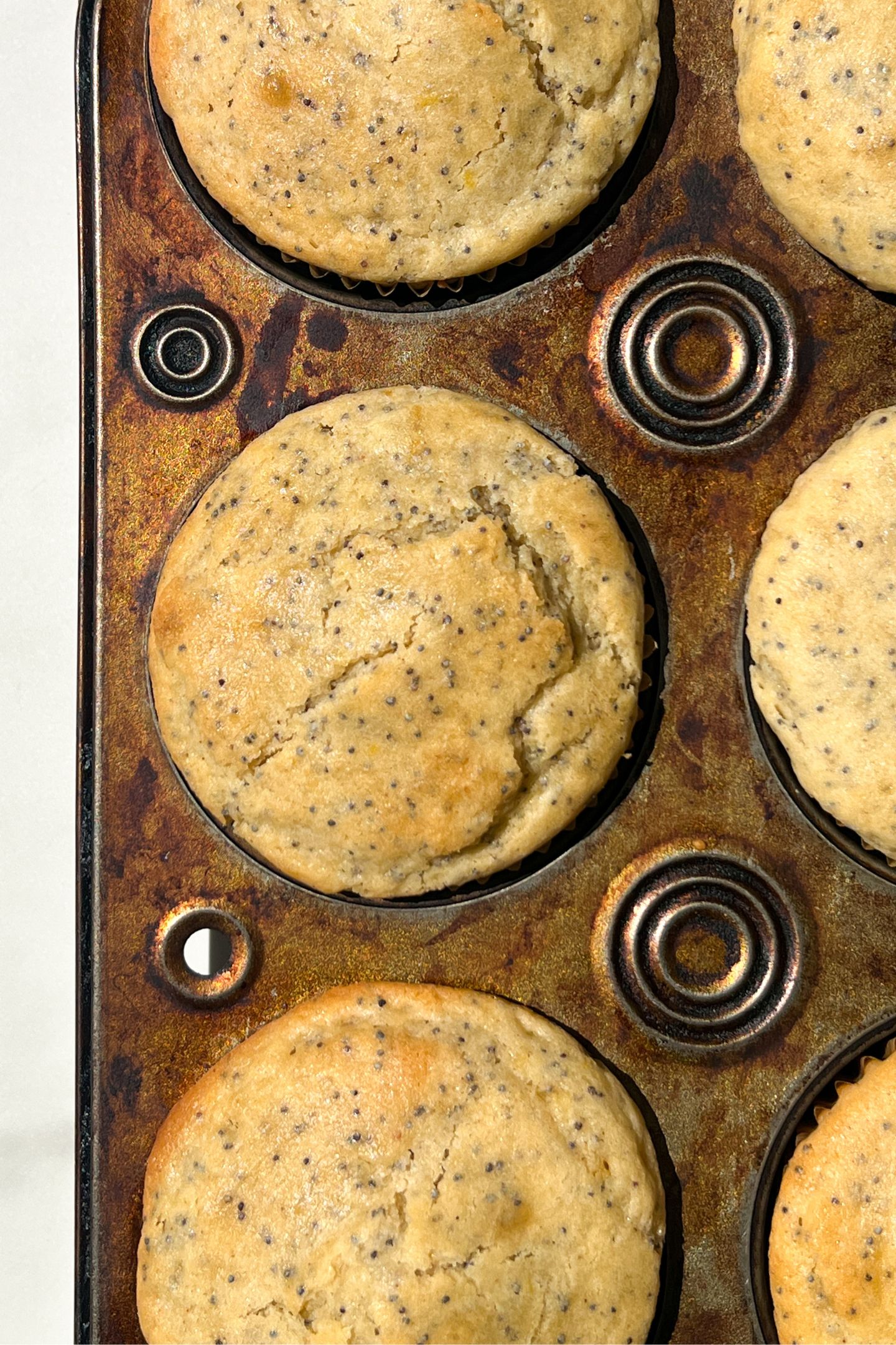Baked lemon poppy muffins in a muffin tin.