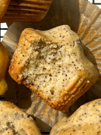 Lemon Poppy Muffin with a bite taken out.