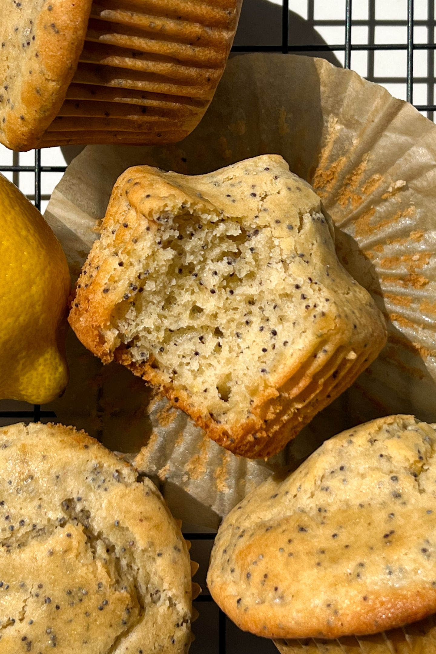 Lemon Poppy Muffin with a bite taken out.