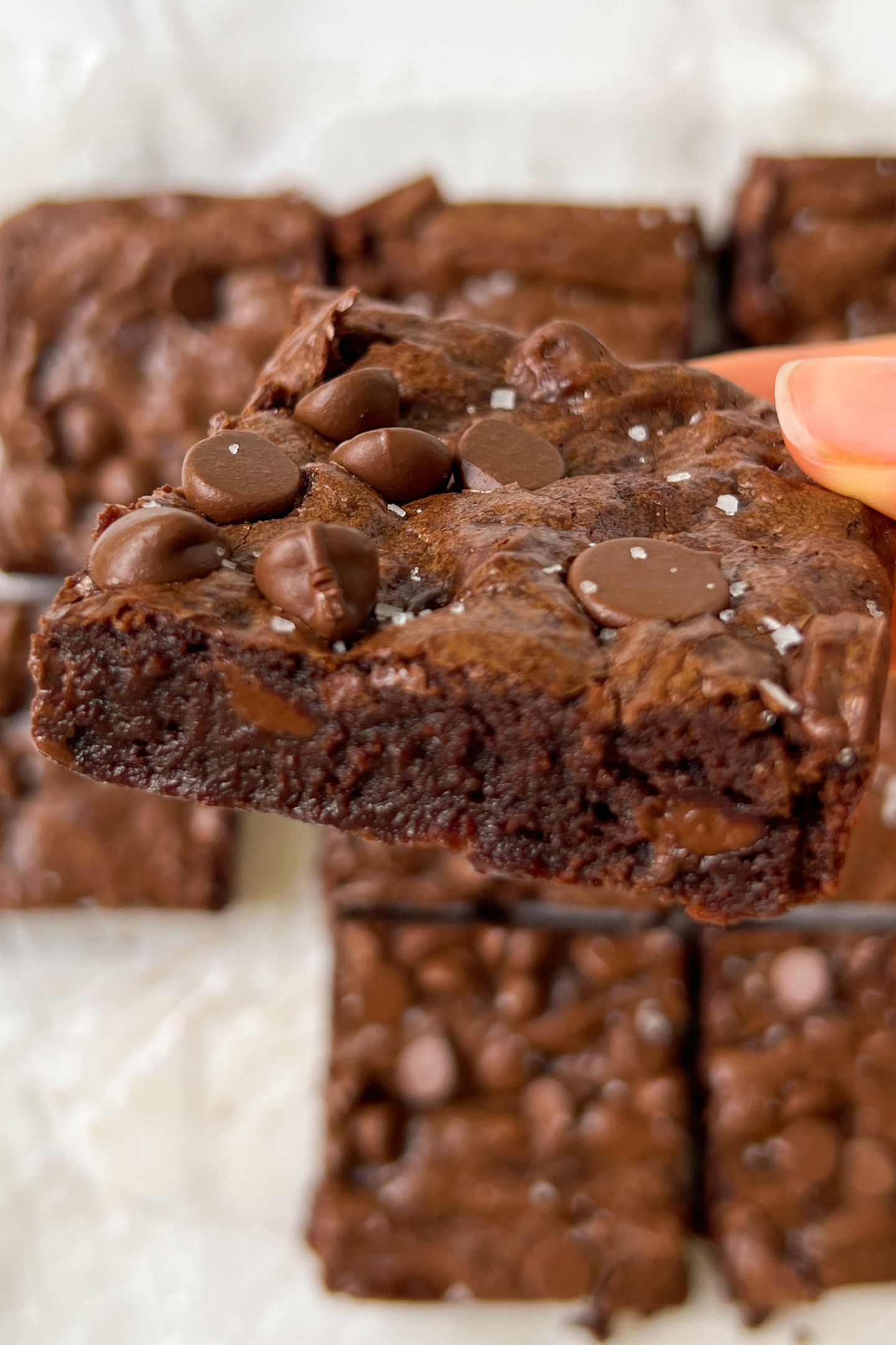 Holding a Fudgy Brownie in my hand.