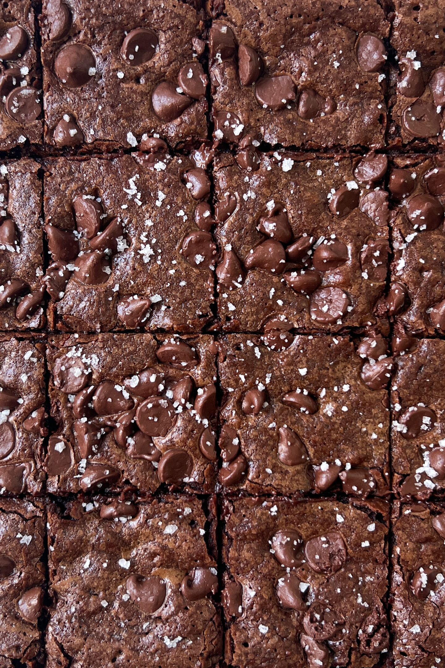 Sliced Espresso Brownies with sea salt flakes. 