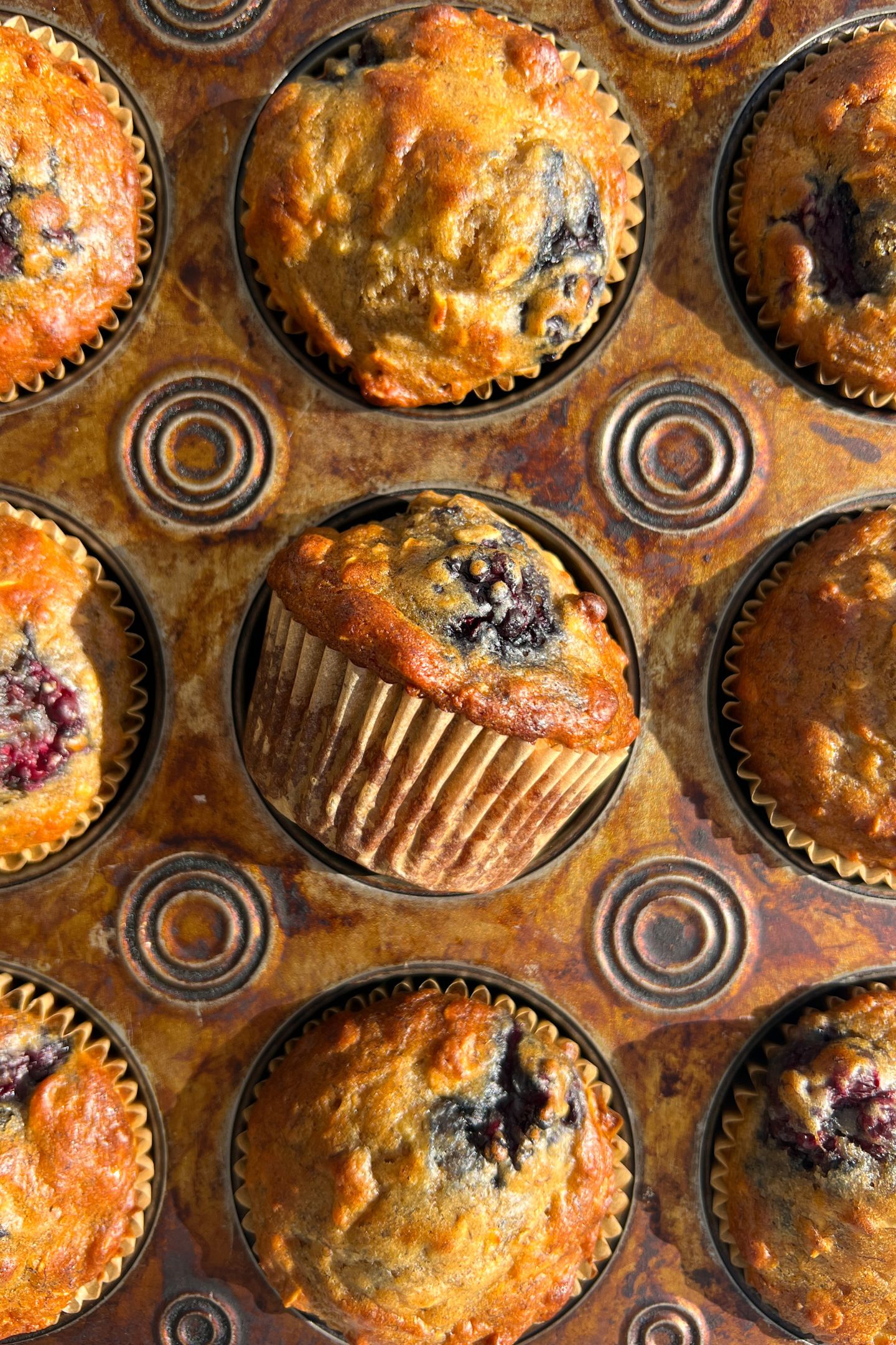 Freshly baked muffins in tray.