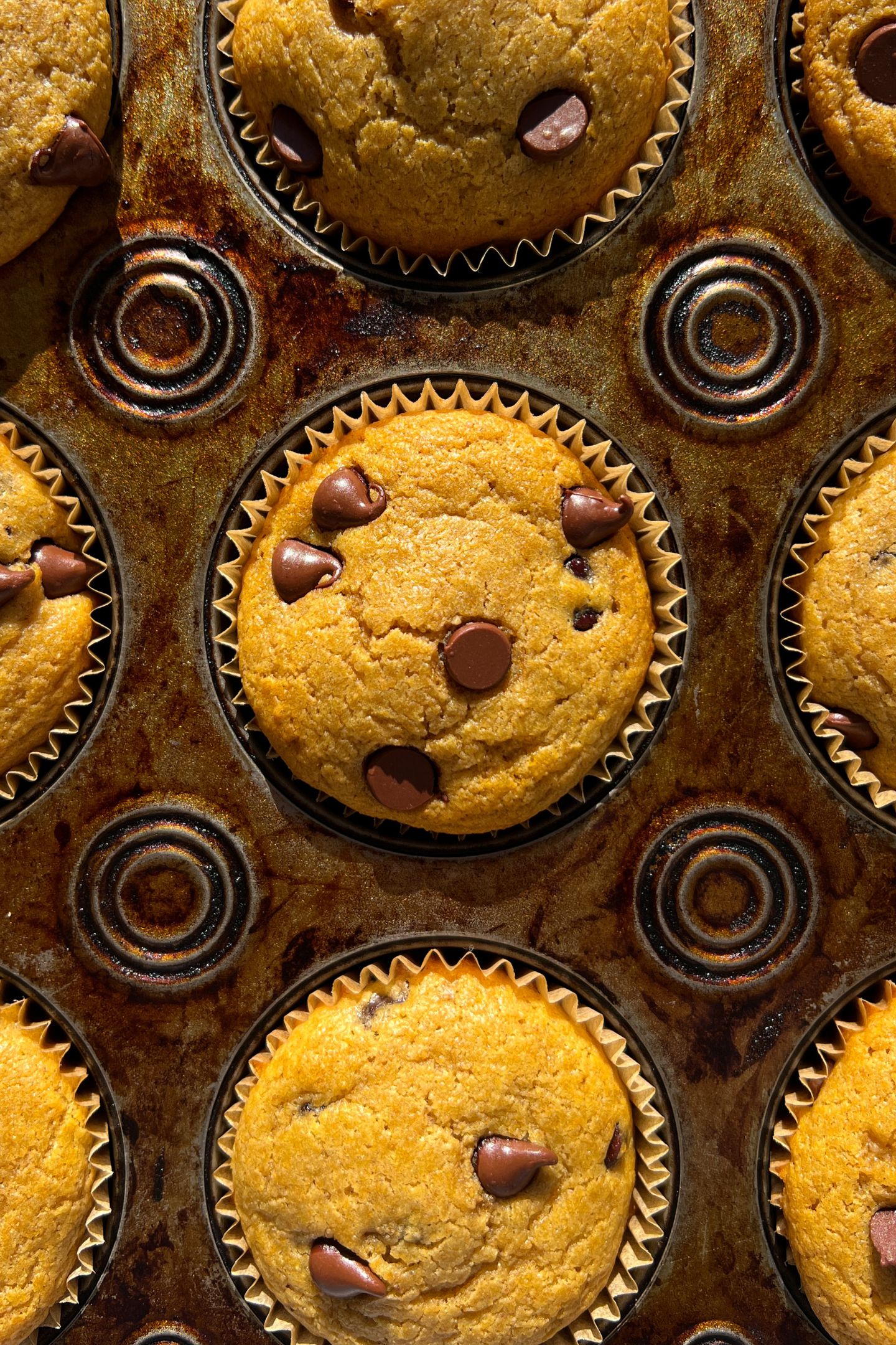 Baked pancake chocolate chip muffins in a baking tray.