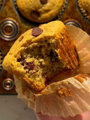 Holding a Kodiak Cake Chocolate Chip Muffin in my hand with a bite taken out of it.