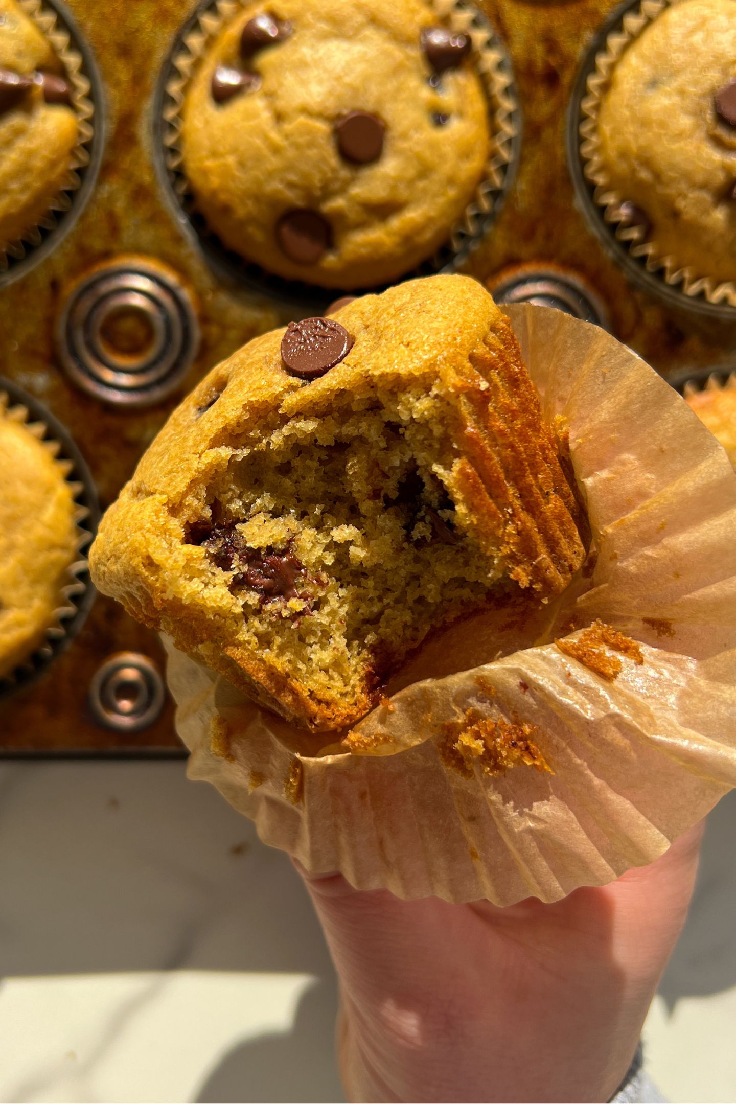 Holding a Kodiak Cake Chocolate Chip Muffin in my hand with a bite taken out of it.