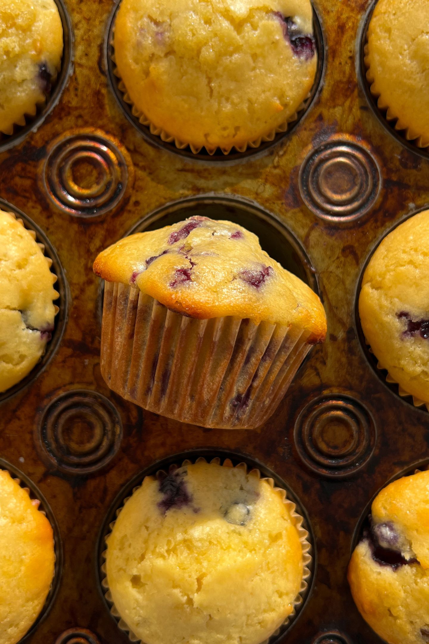 Lemon Blueberry Muffin freshly baked on its side in the muffin tin.