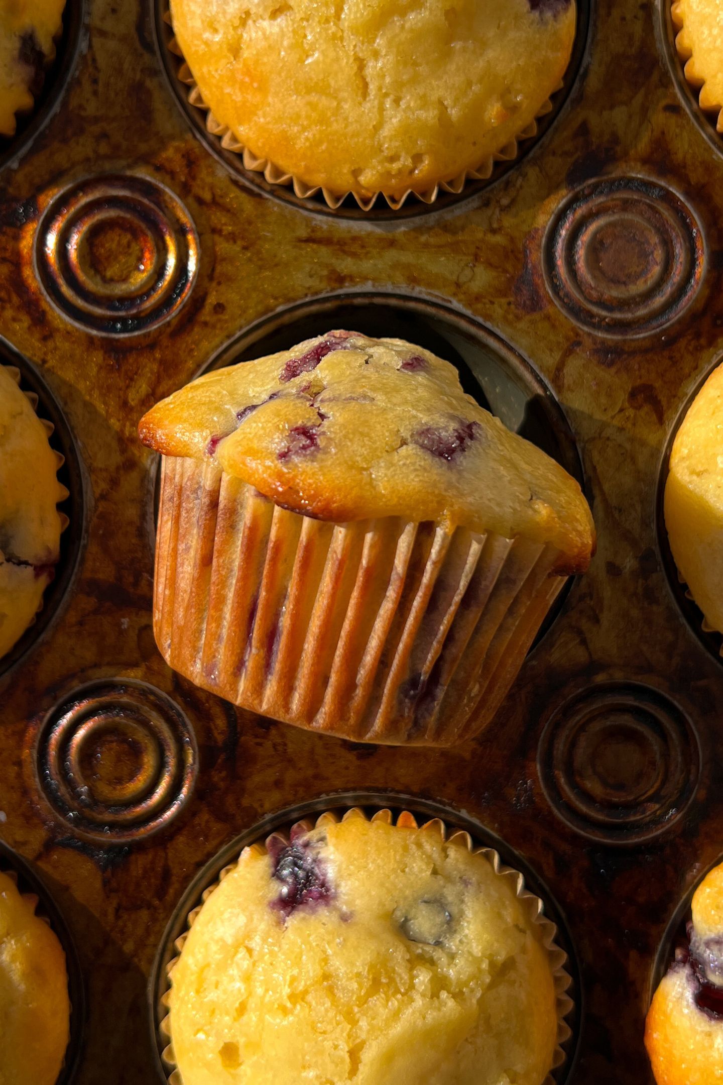 Lemon Blueberry Muffin freshly baked on its side in the muffin tin.