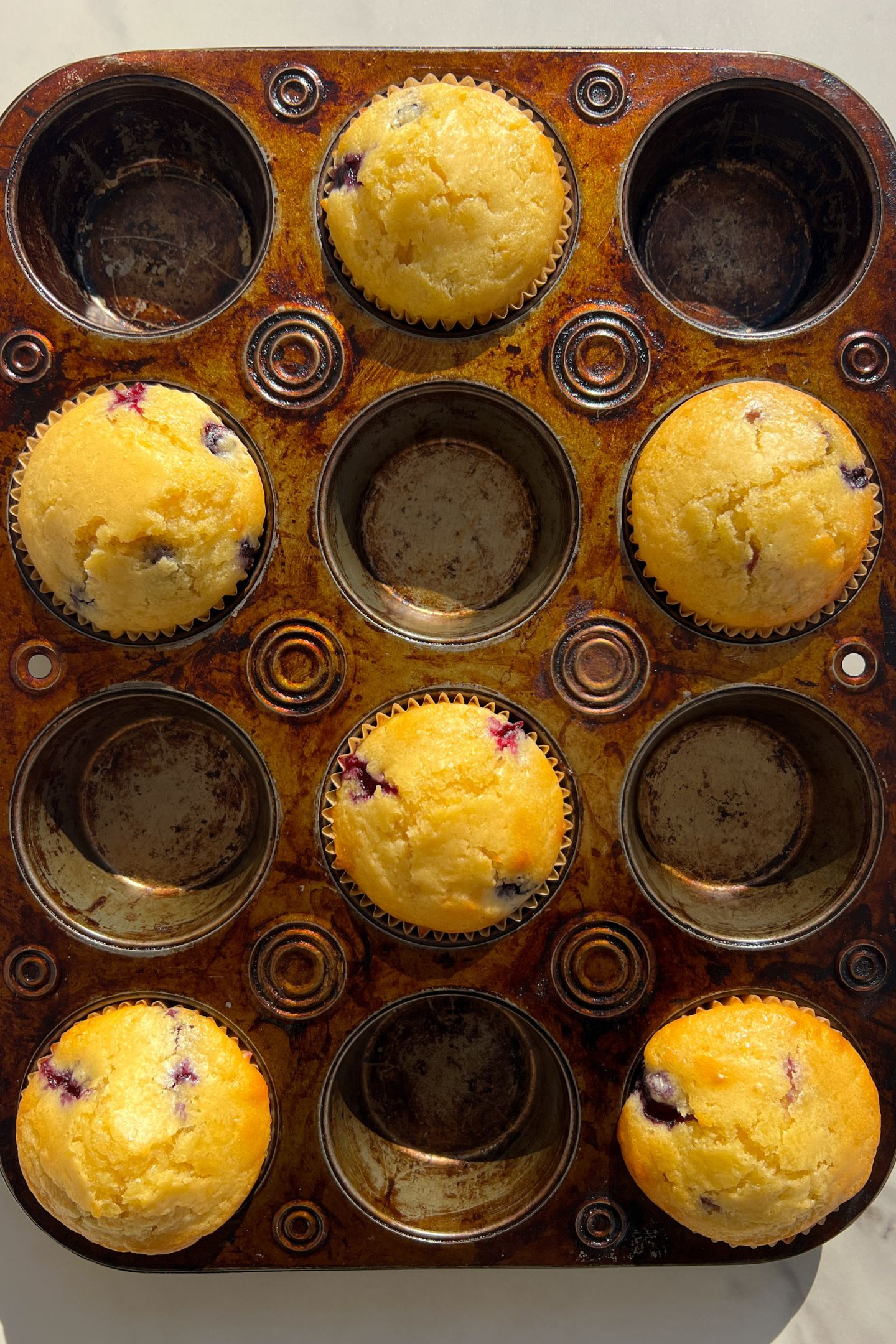 Lemon Blueberry Muffins in a muffin tin.