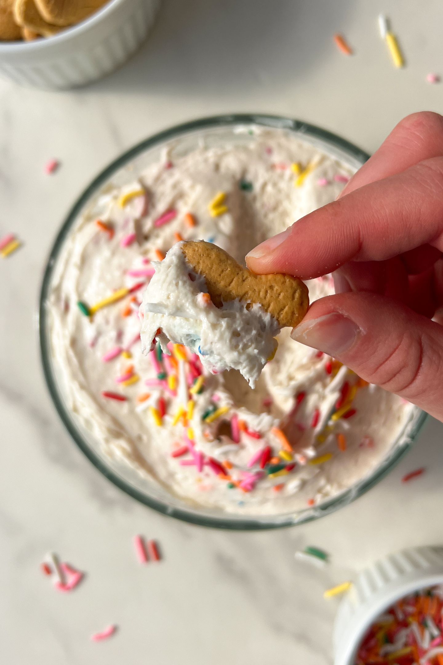 Holding an animal cracker that has been dipped in funfetti cake dip.