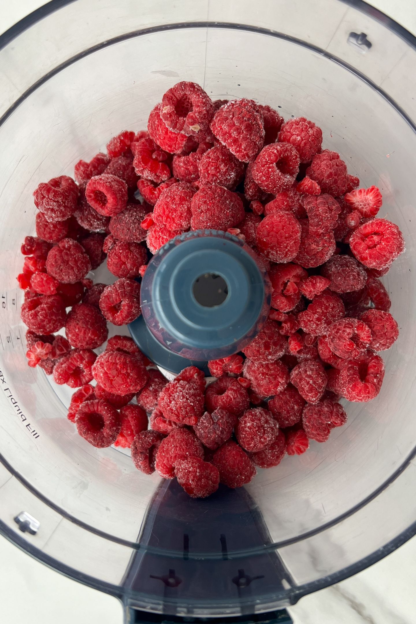Frozen raspberries in a food processor.