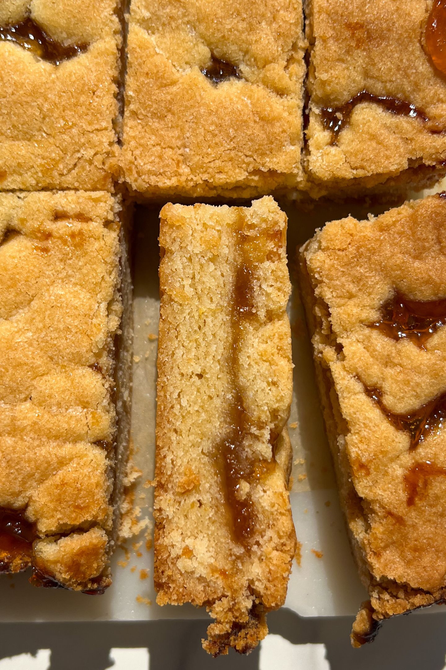 Sliced Apricot Bars with one on its side to show the layers.