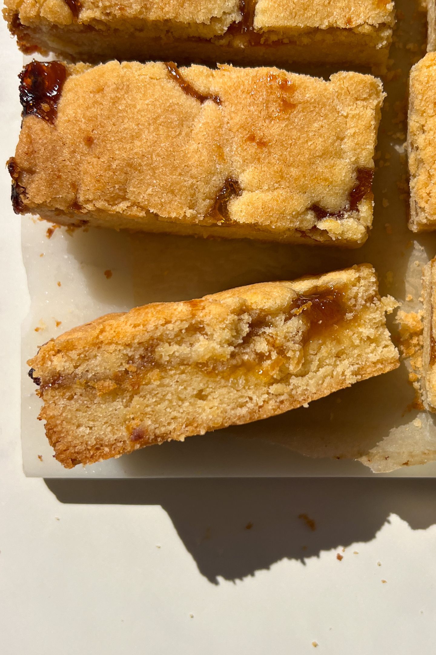 Slice of an apricot bar on it's side with a bite taken out of it.