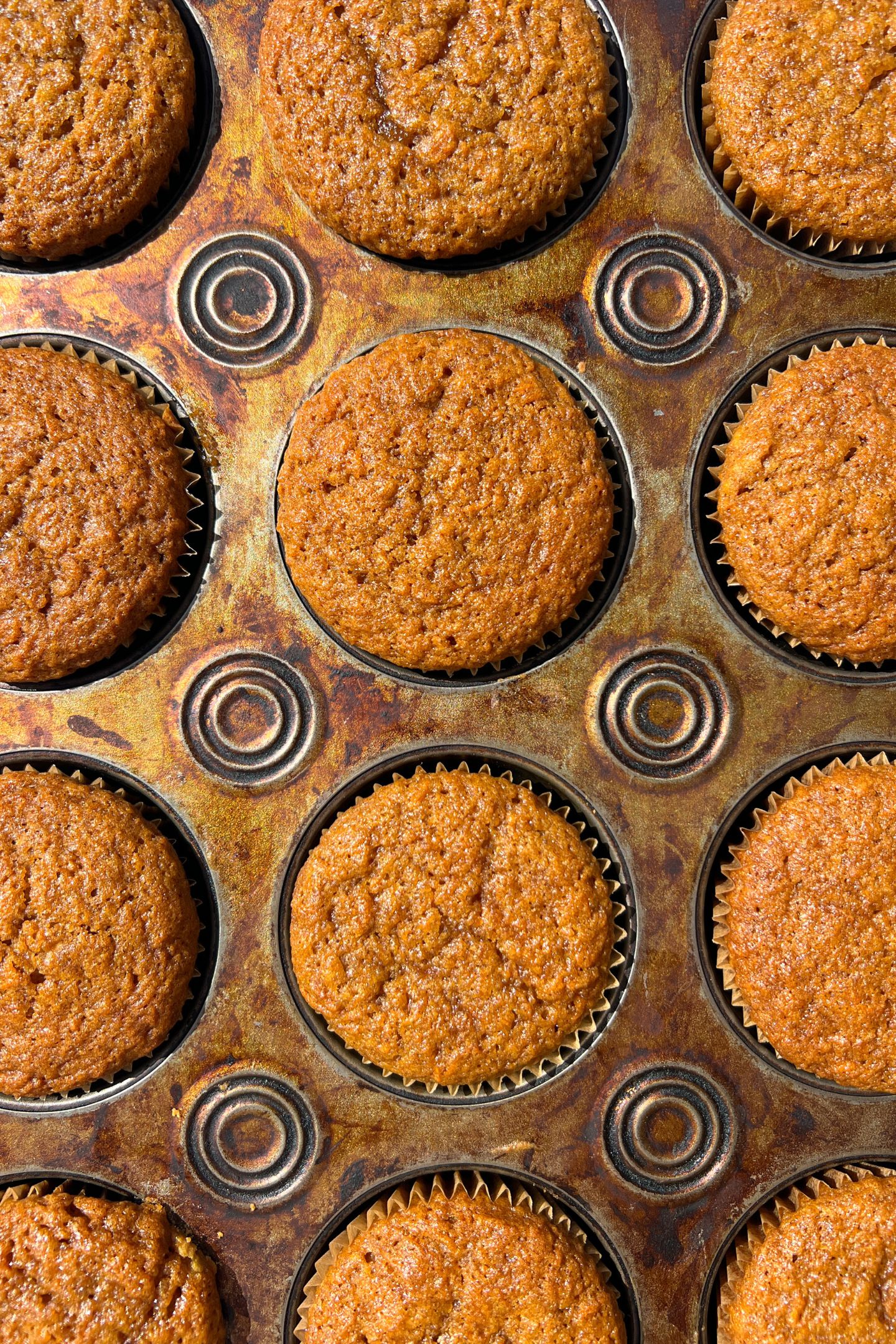 Baked Carrot Cake Cupcakes in cupcakes liners.