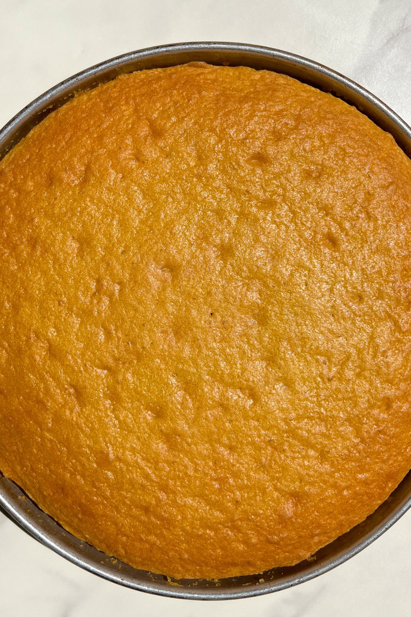 Vanilla cake baked in the pan.