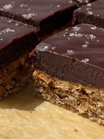Side view of sliced oatmeal fudge bars topped with sea salt.