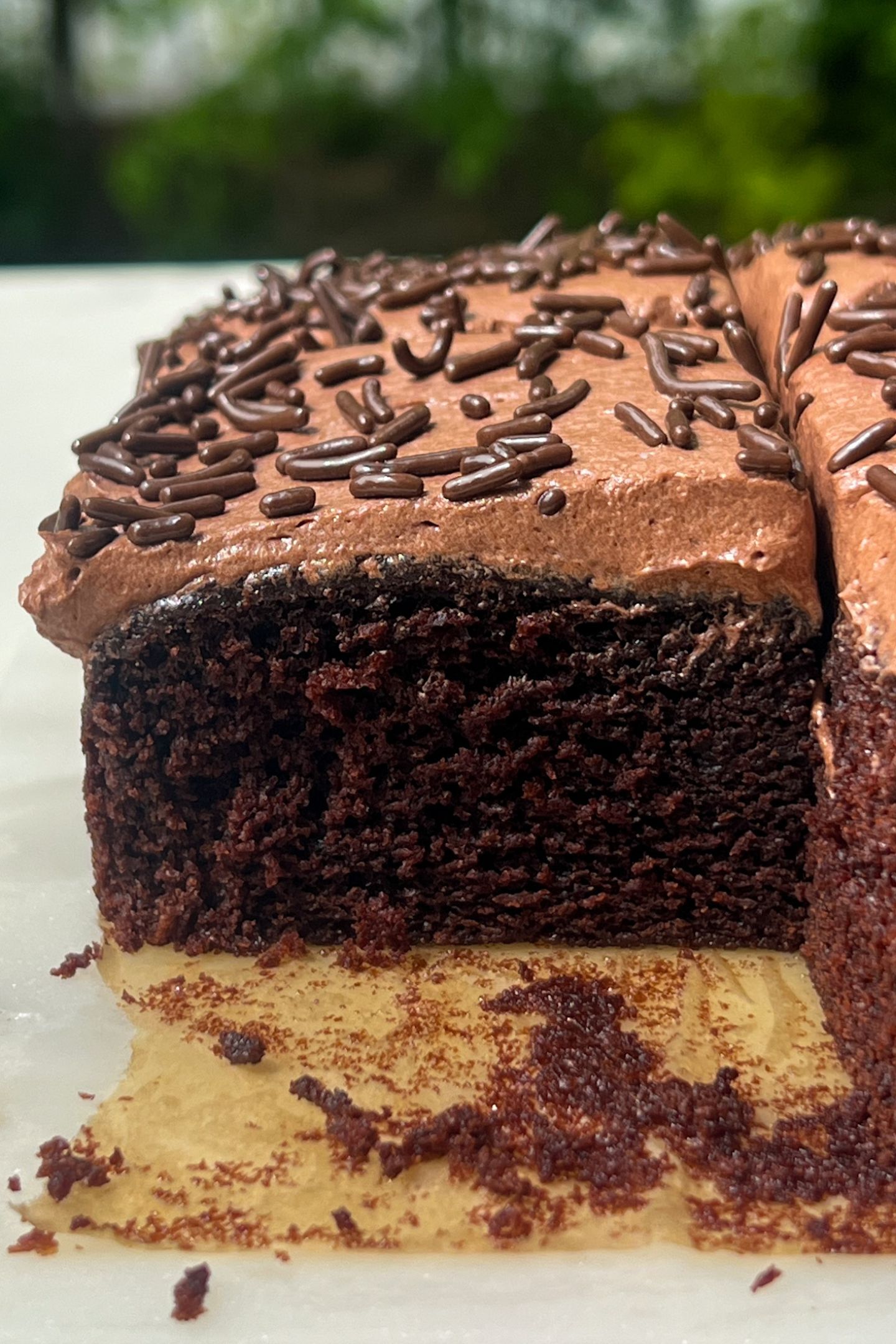 Side view of chocolate cake topped with a chocolate frosting and sprinkles on top.
