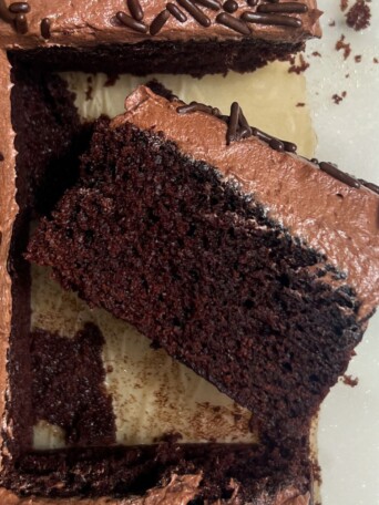 A piece of chocolate cake on its side.