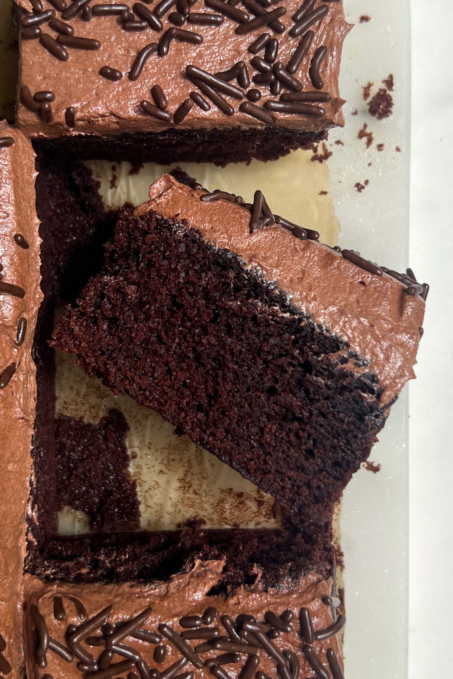 A piece of chocolate cake on its side.