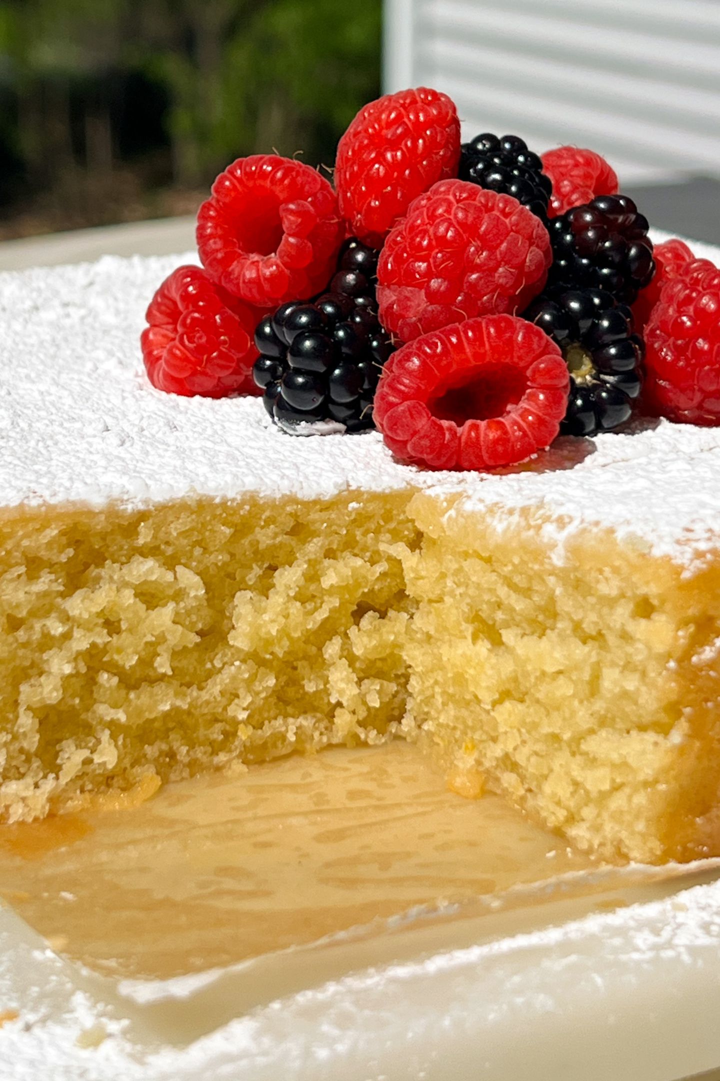 Inside of the olive oil cake.