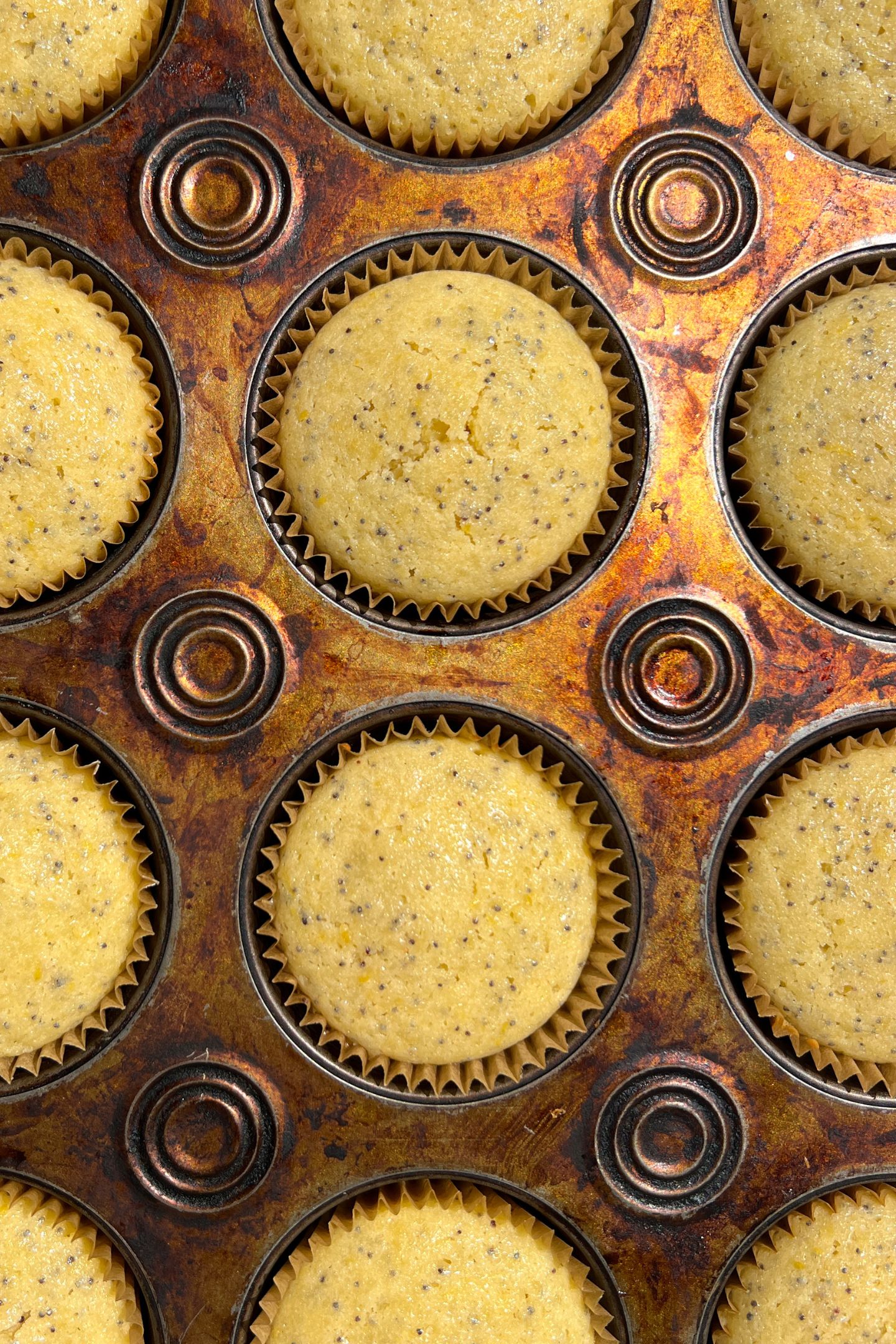 Baked lemon poppy cupcakes in a cupcake tin.