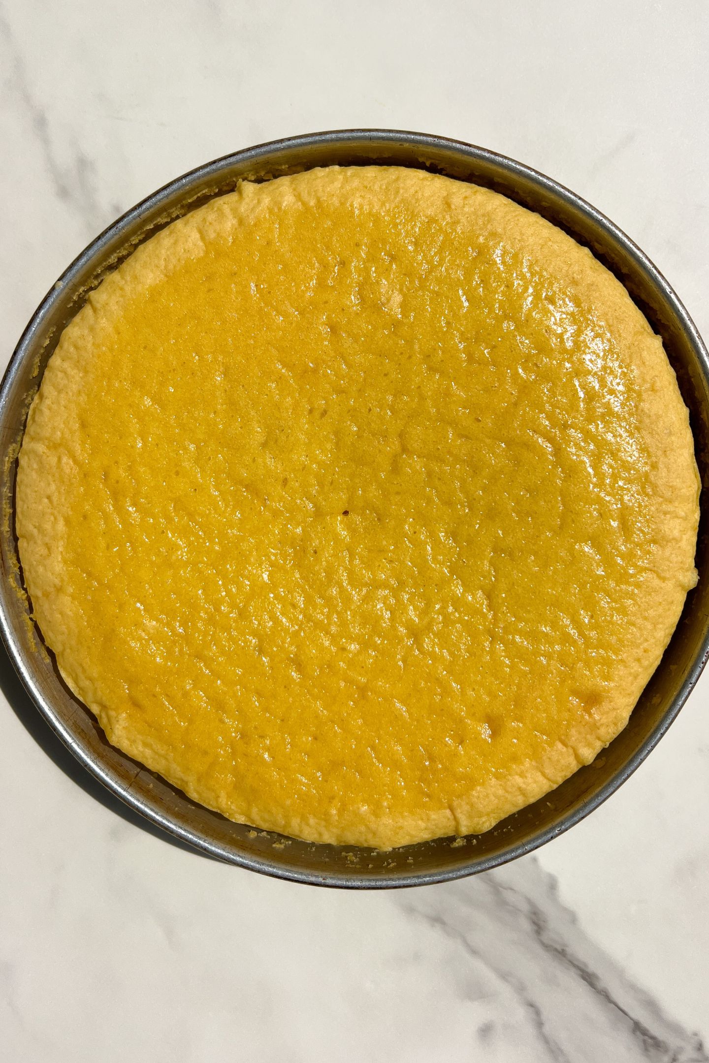 Baked lemon cake in pan.