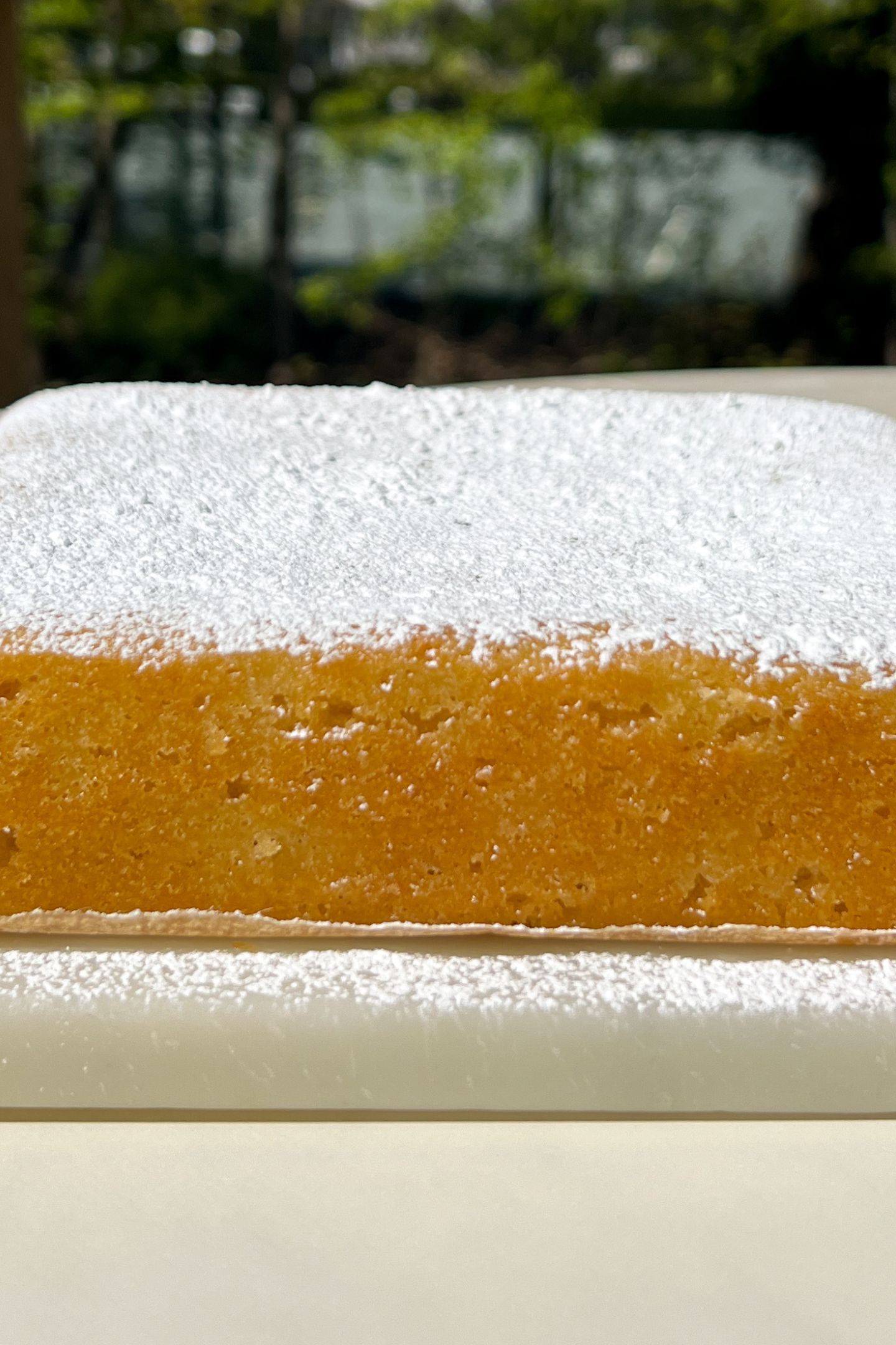 Cake with powdered sugar on top.