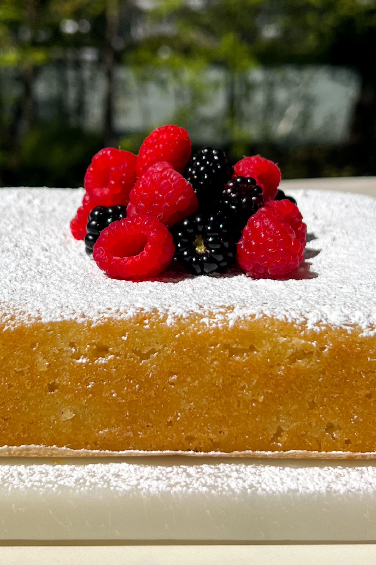 Olive oil cake topped with powdered sugar and berries.