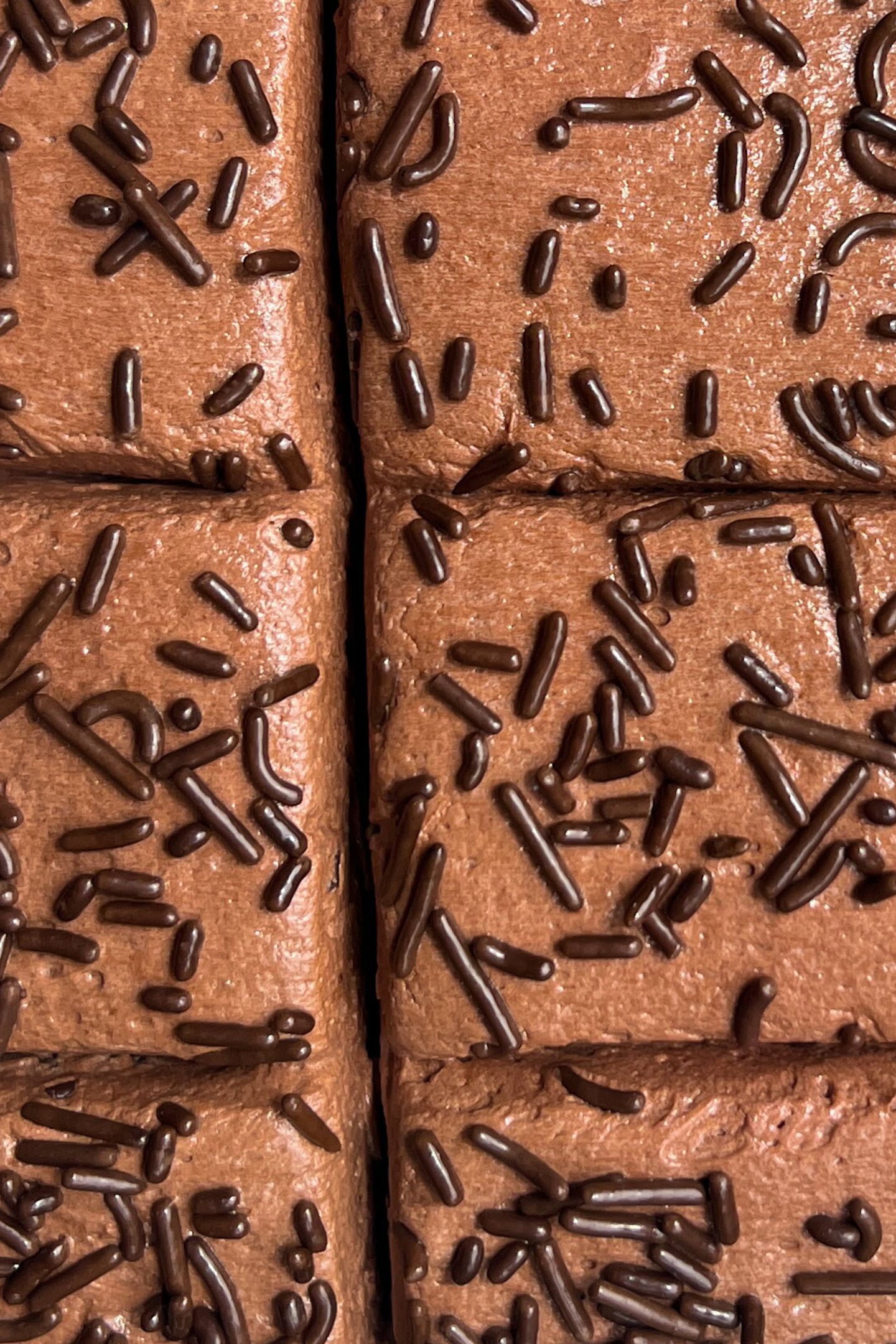 Sliced chocolate cake topped with chocolate frosting and sprinkles.