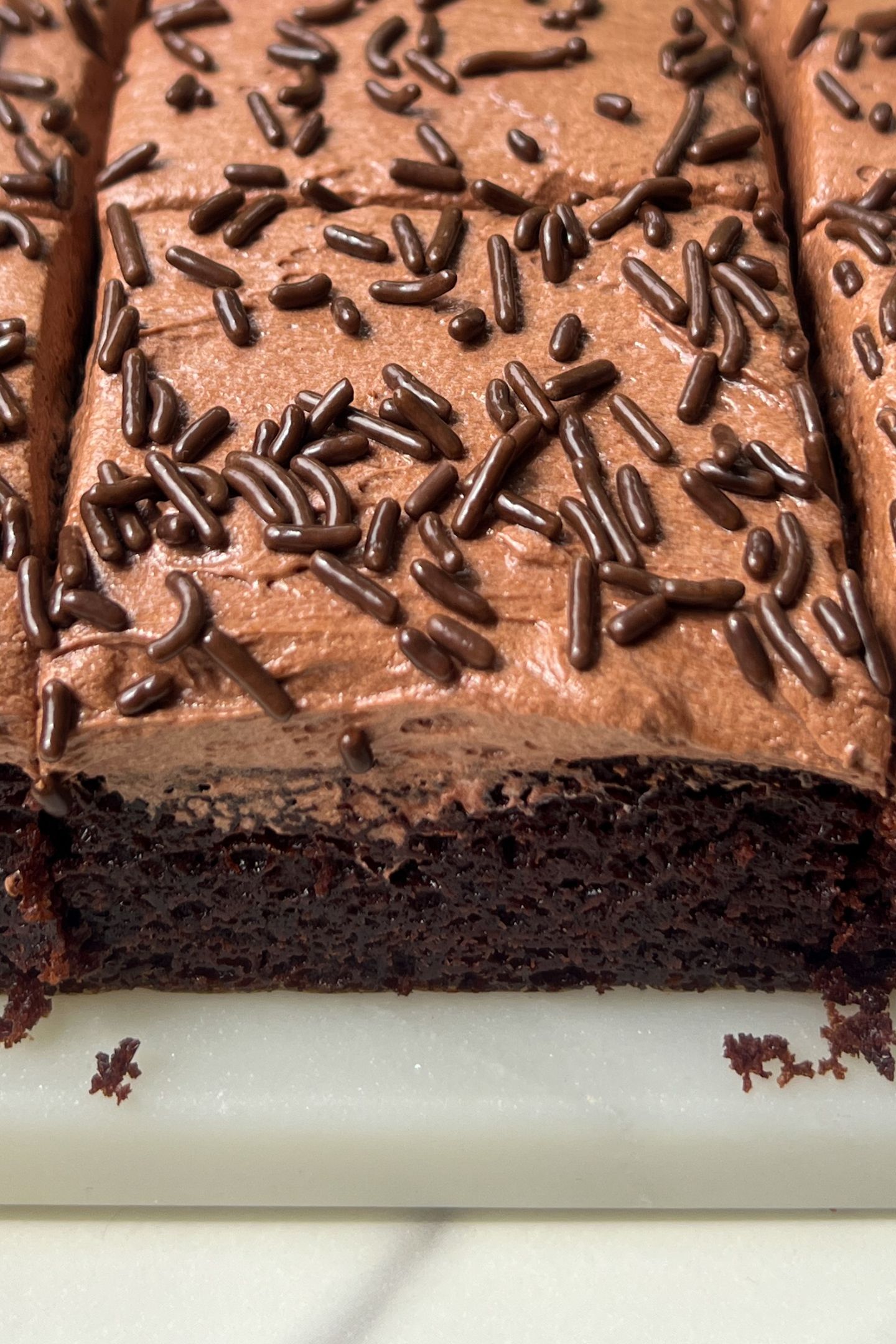Sliced chocolate cake topped with chocolate frosting and sprinkles.