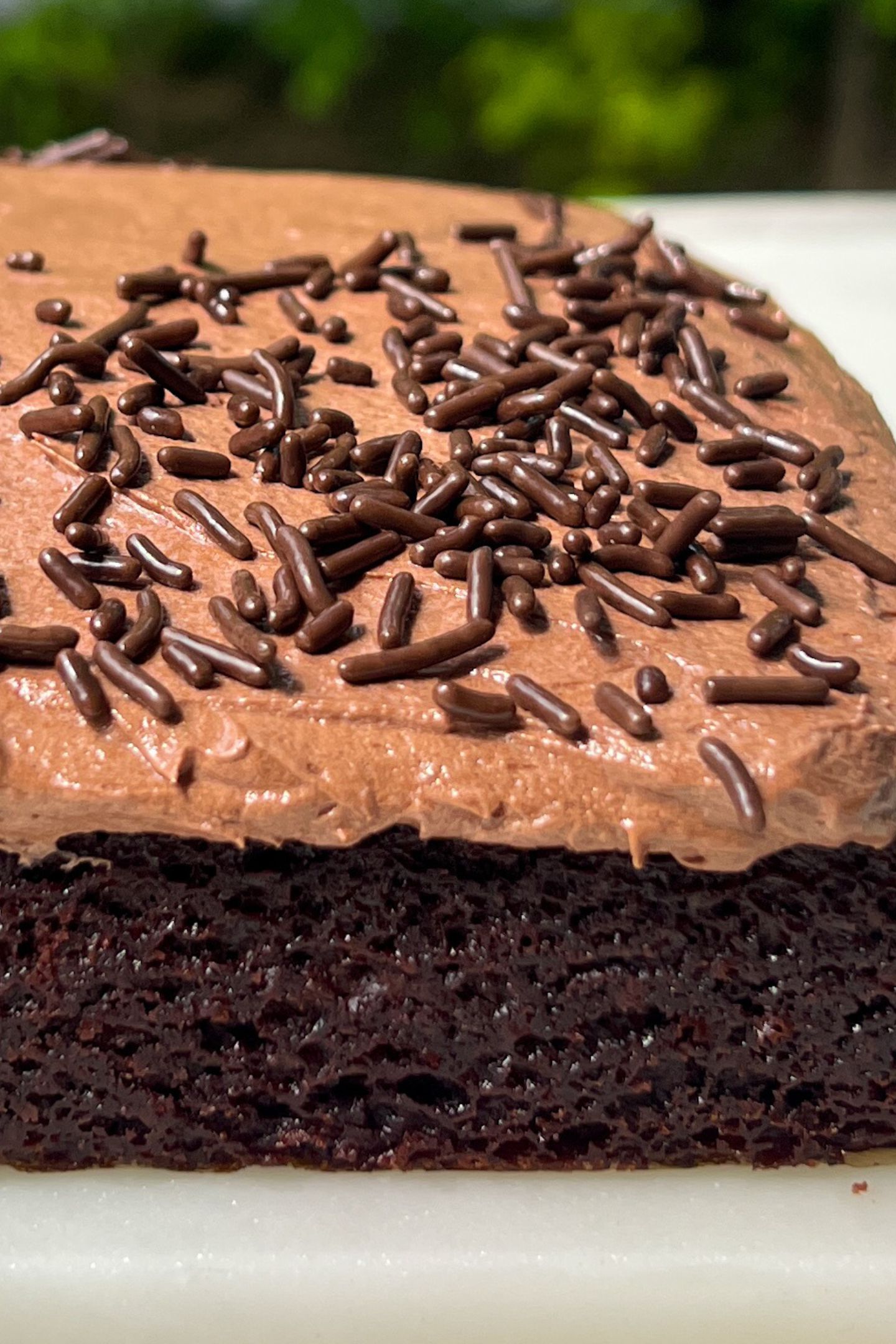 Add chocolate sprinkles to the frosted chocolate cake.