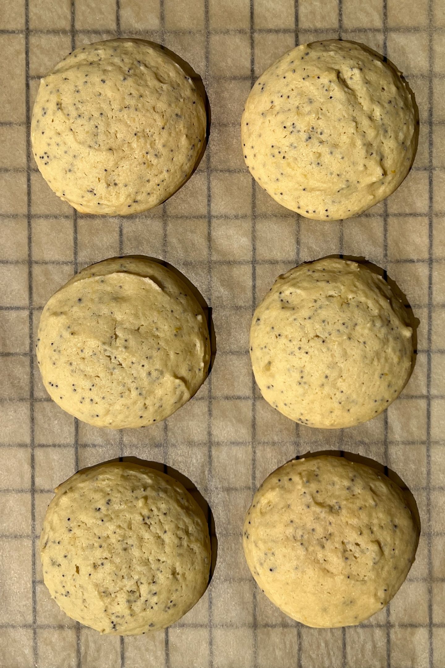 Baked lemon poppy cookies on a cooling rack.