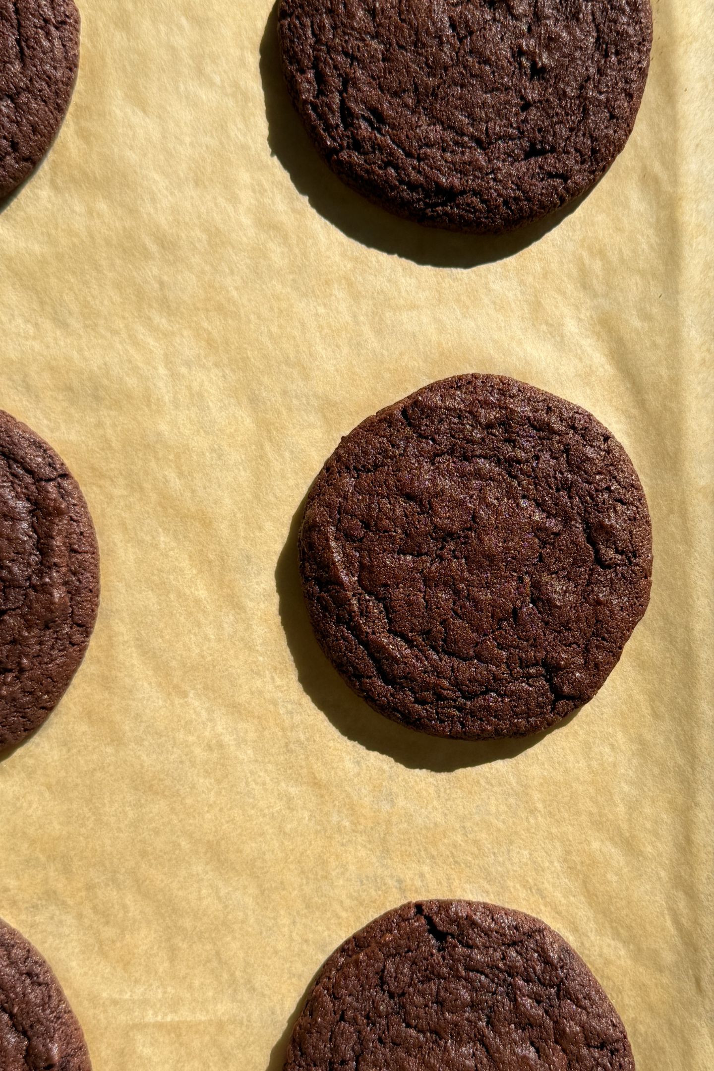 Cookies cooling on the baking sheet.