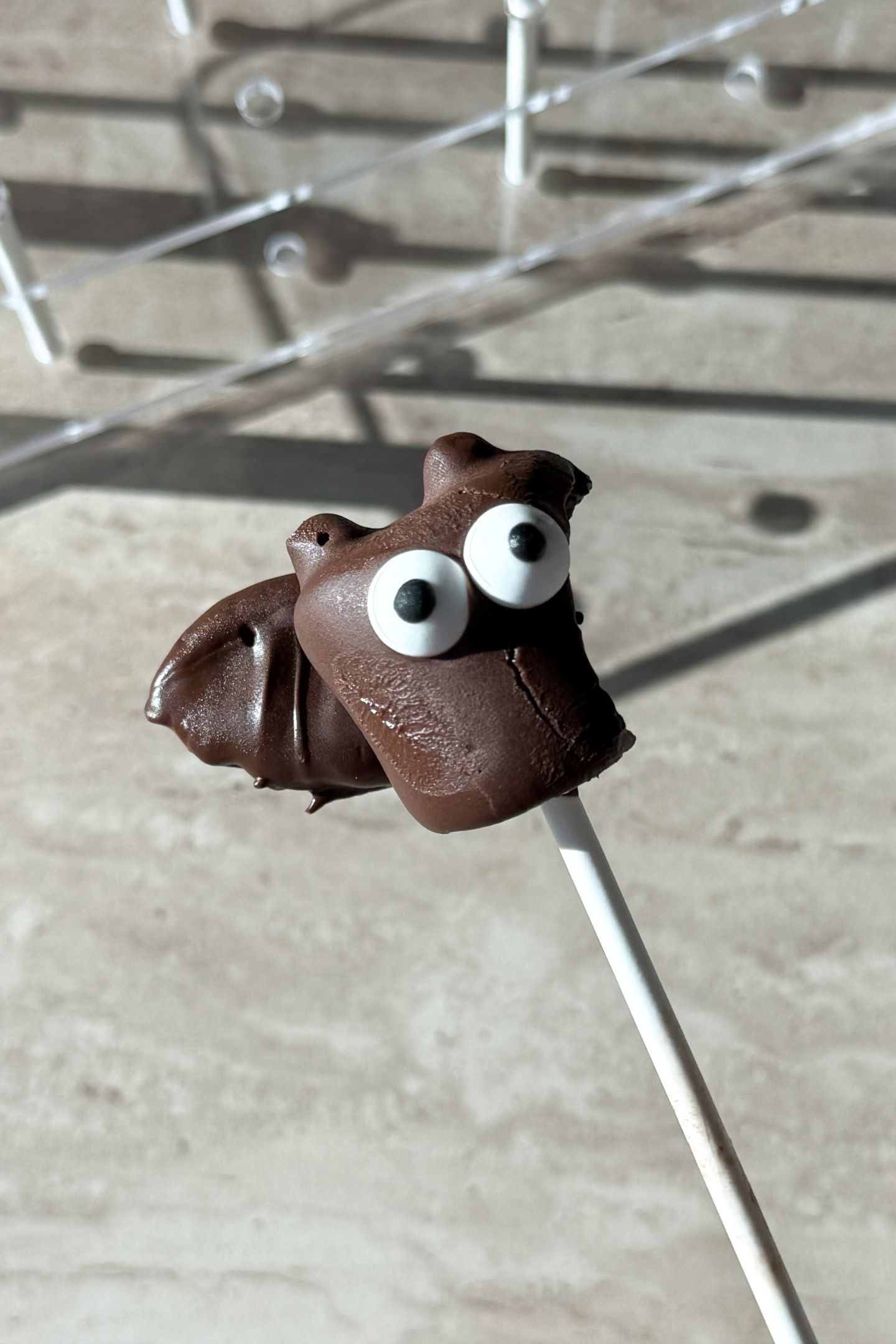 Holding a marshmallow bat pop.