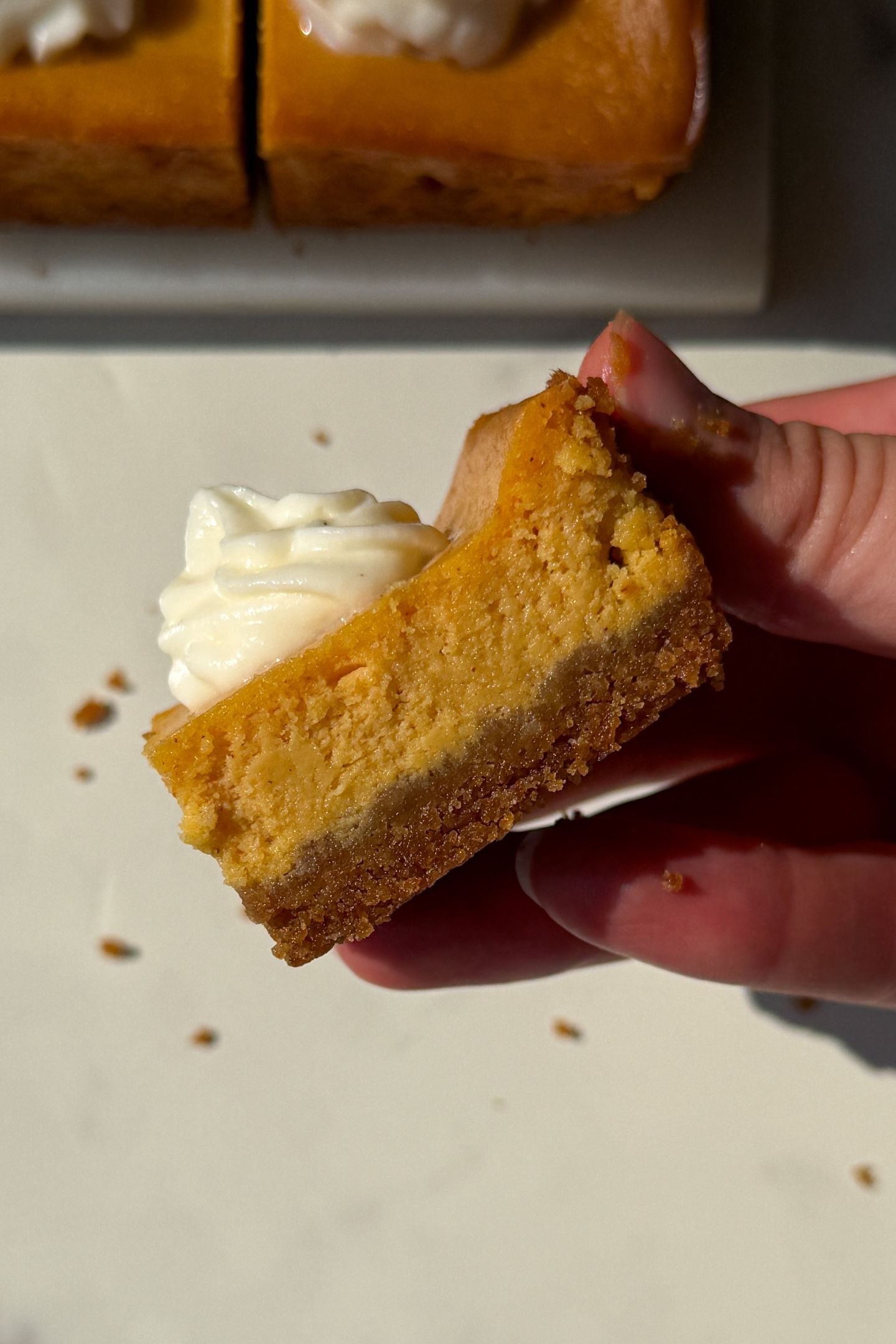 Holding a pumpkin cheesecake bar in my hand.