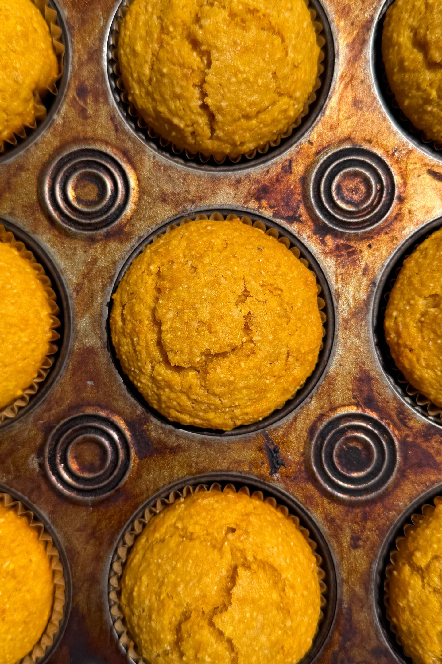 Baked corn and sweet potato muffins in the muffin tin.
