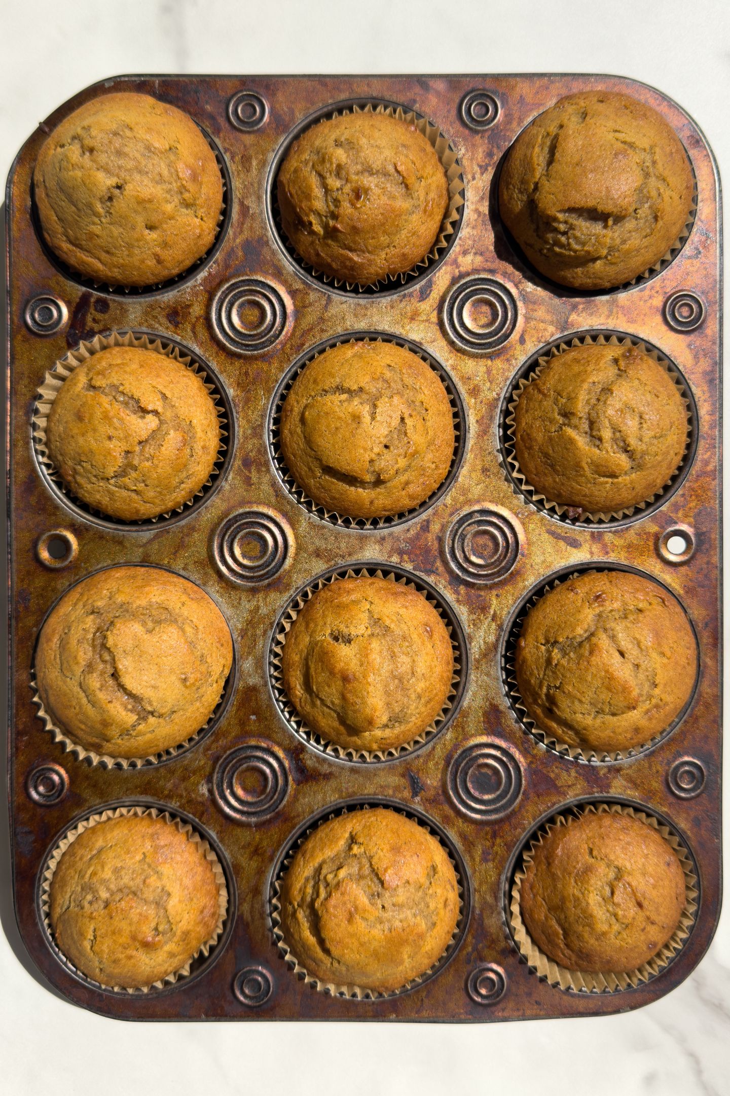 Baked muffins in the muffin tin.