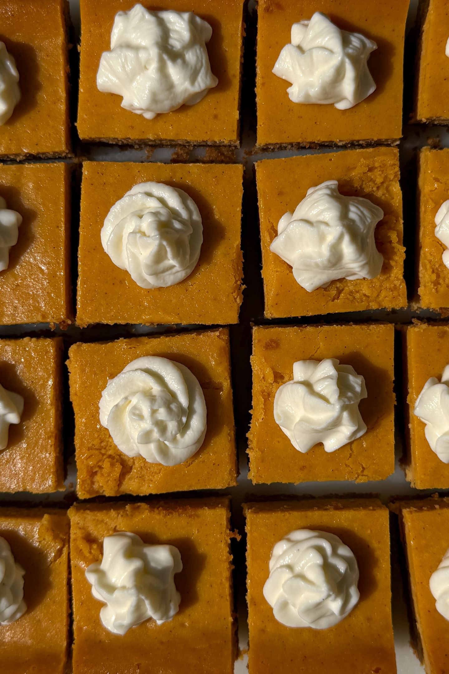 Sliced Pumpkin Cheesecake Bars topped with homemade whipped cream.
