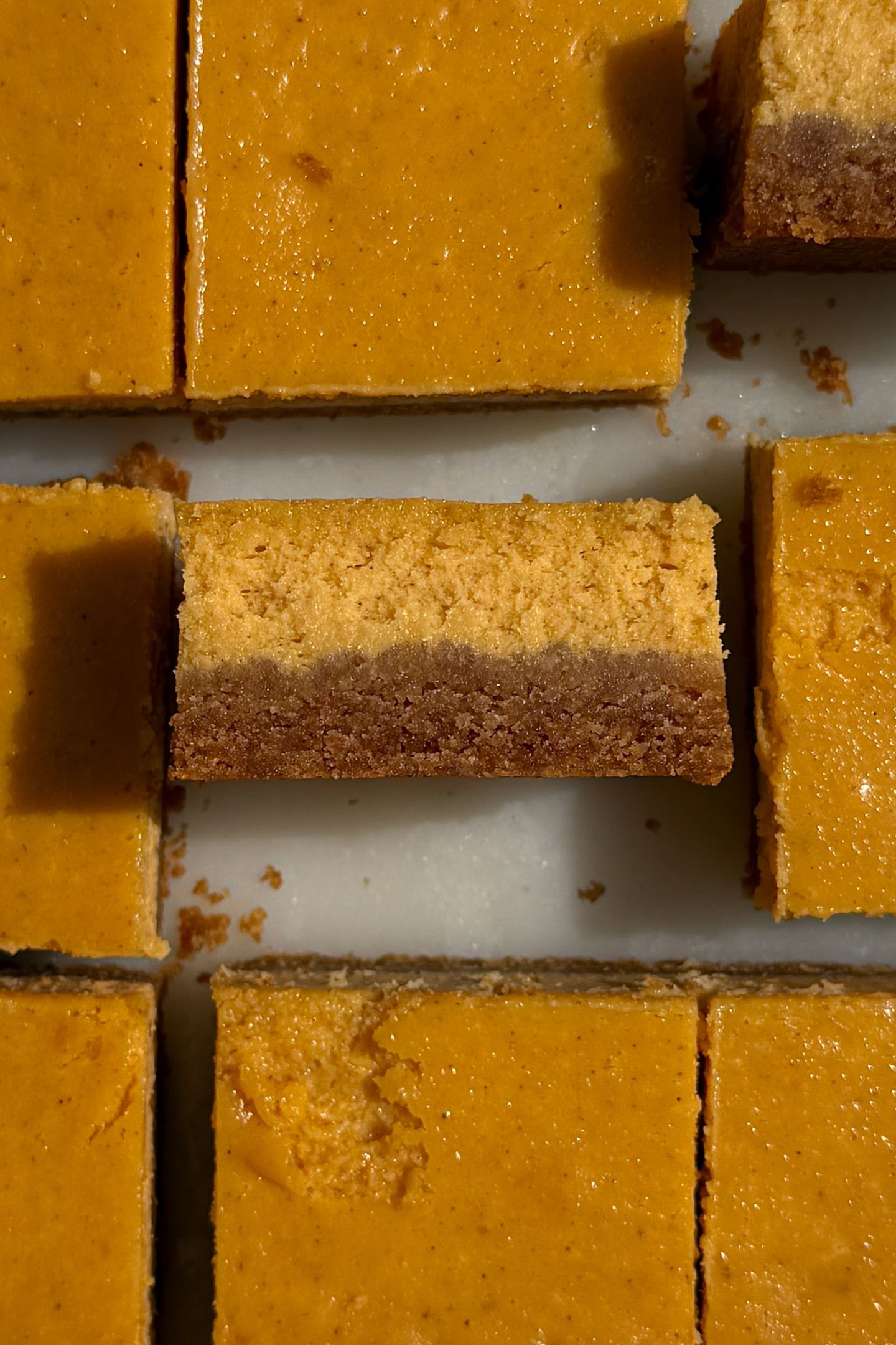 A pumpkin cheesecake bar on its side to show the layers.