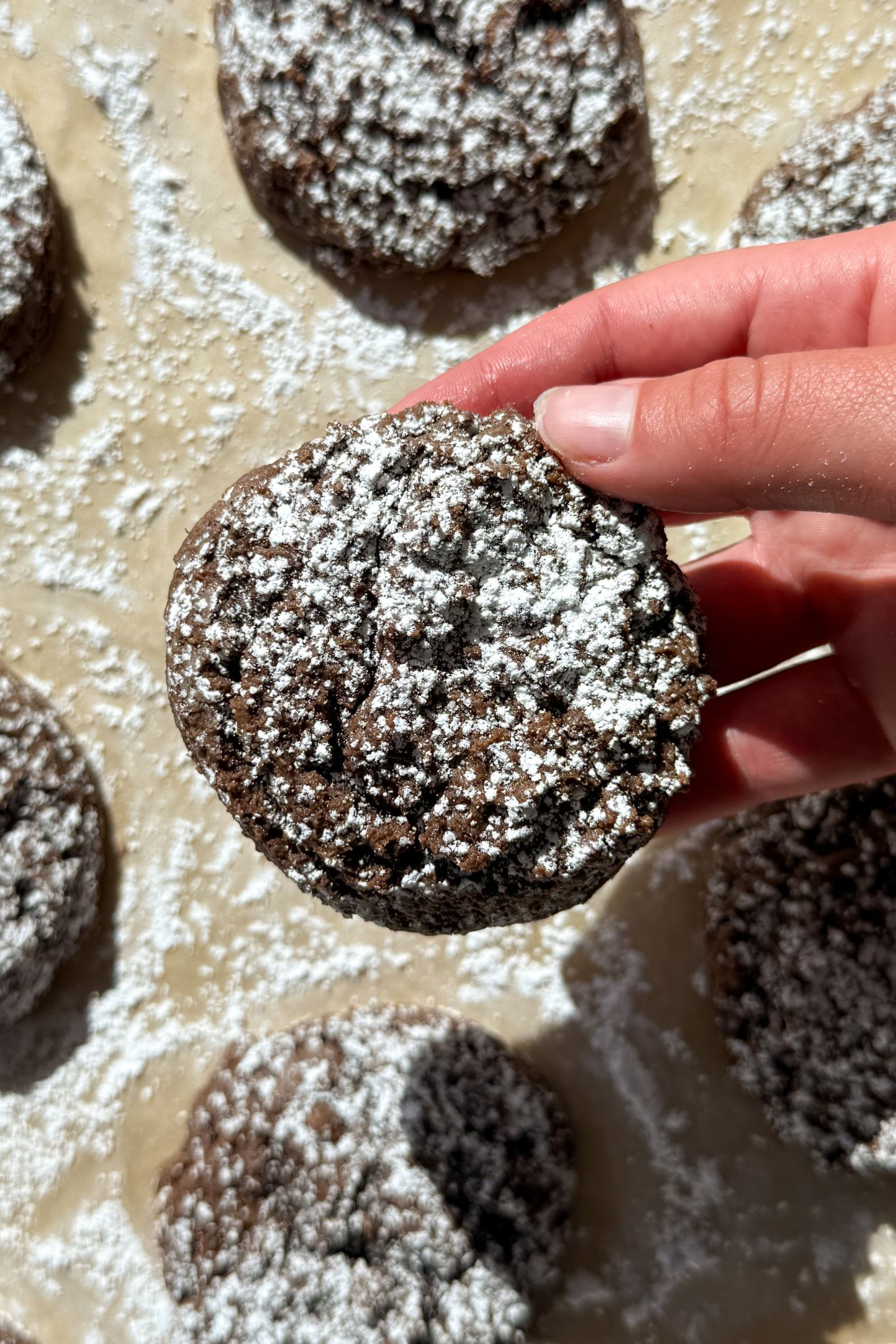 Holding a Chocolate Cake Mix and Cream Cheese Cookie in my hand.